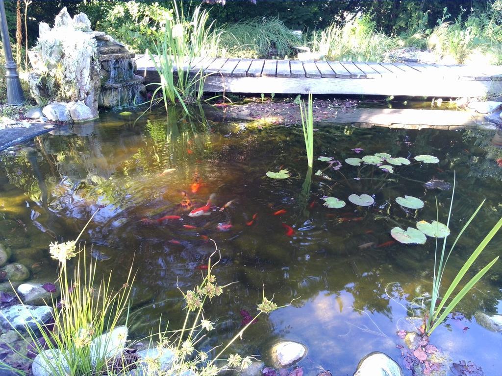 Le Bassin du Tertre Bed & Breakfast Fronsac  Luaran gambar